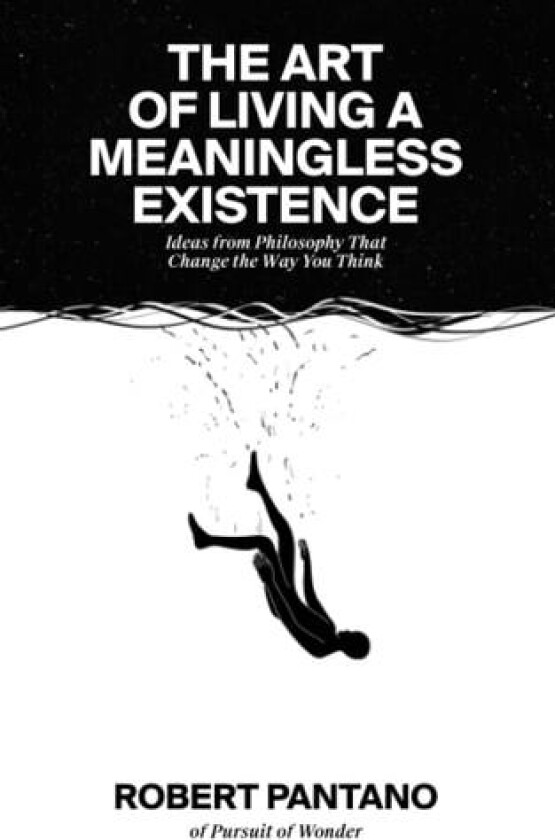 The Art of Living a Meaningless Existence av Robert Pantano (Paperback)