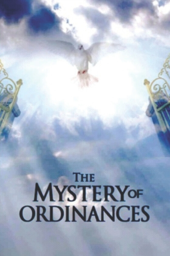 The Mystery of Ordinances av Linda Lakemfa (Paperback)