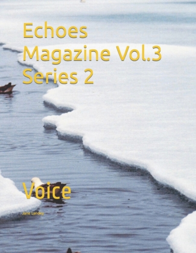 Echoes Magazine Vol.3 Series 2 av Jane Landey (Paperback)