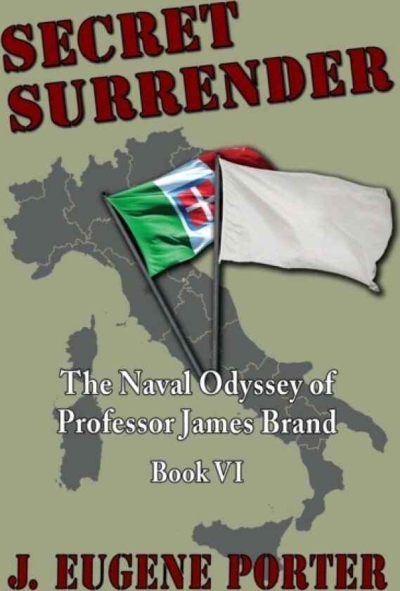 Secret Surrender av J Eugene Porter (Paperback)