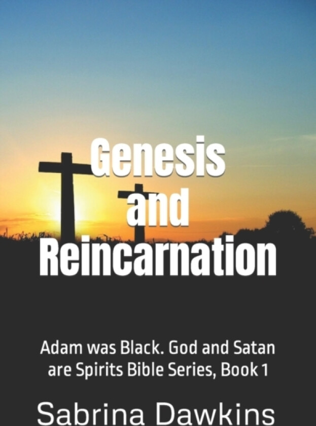 Genesis and Reincarnation av Sabrina Dawkins (Paperback)