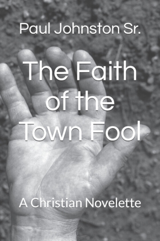 The Faith of the Town Fool av Paul Sr Johnston (Paperback)