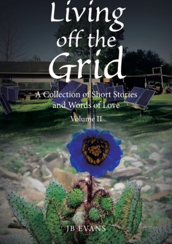Living off the Grid av Jb Evans (Paperback)