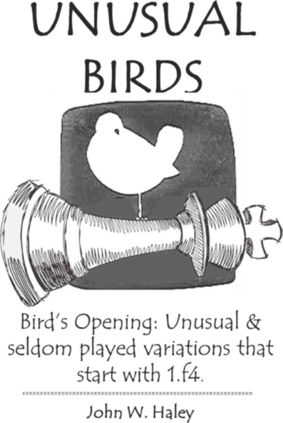 Unusual Birds av John W Haley (Paperback)