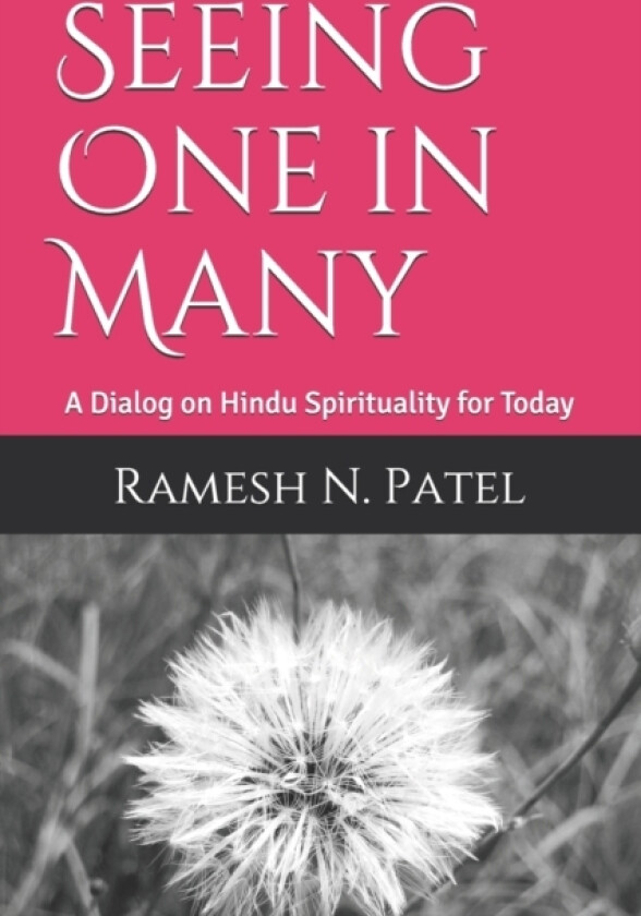 Seeing One in Many av Ramesh N Patel (Paperback)