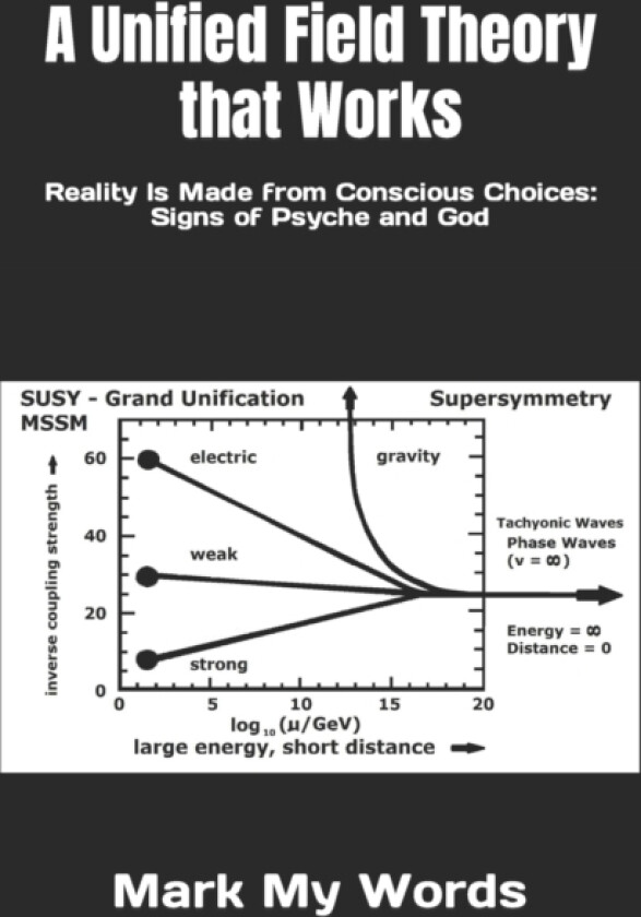 A Unified Field Theory that Works av Mark My Words (Paperback)