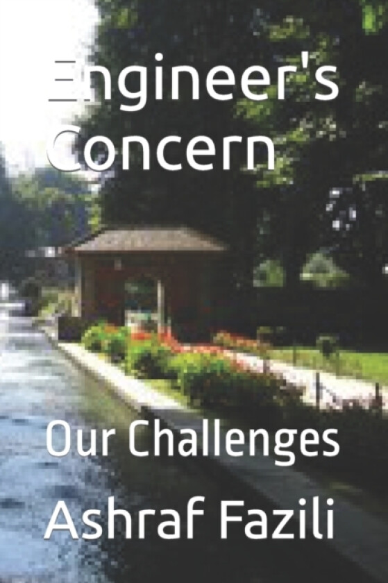 Engineer's Concern av Ashraf Fazili (Paperback)