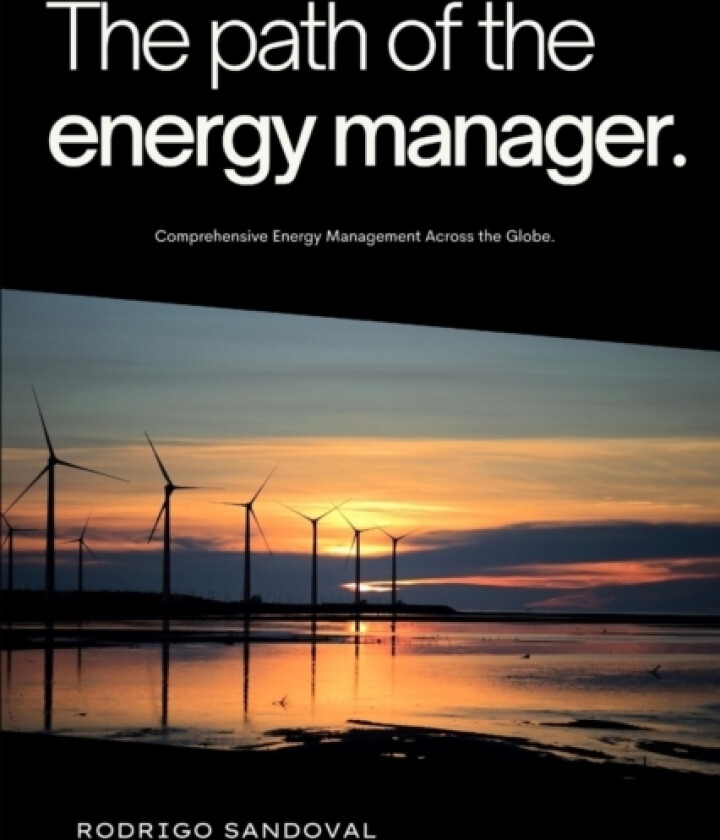 The Path of the Energy Manager av Rodrigo Sandoval (Paperback)