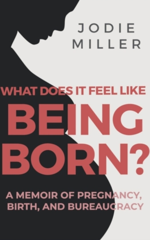 What Does It Feel Like Being Born? av Jodie Miller (Paperback)