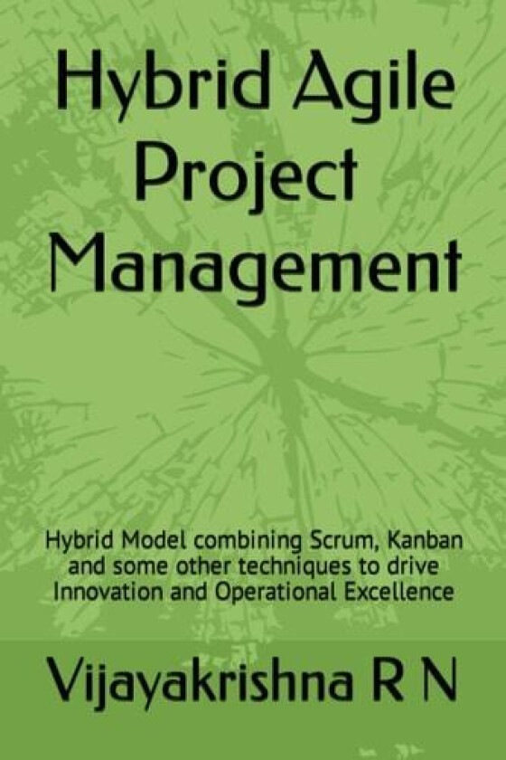 Hybrid Agile Project Management av Vijayakrishna R N (Paperback)