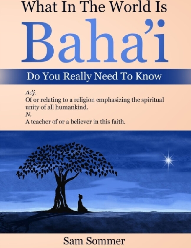 What In The World Is Baha'i Do You Really Need To Know av Sam Sommer (Paperback)