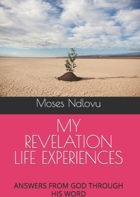 My Revelation Life Experiences av Moses Mduduzi Ndlovu (Paperback)