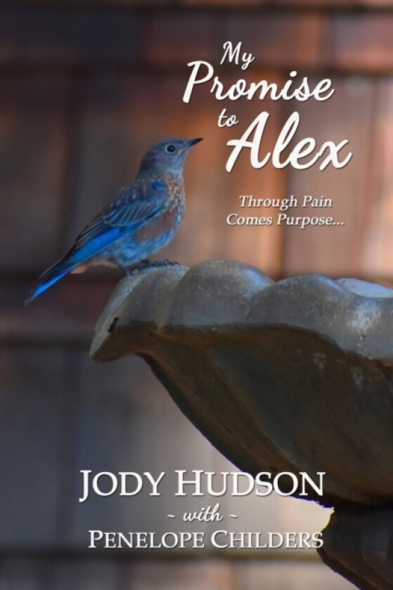 My Promise to Alex av Penelope Childers, Jody Hudson (Paperback)
