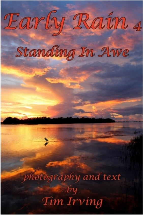 Early Rain 4 av Tim Irving (Paperback)