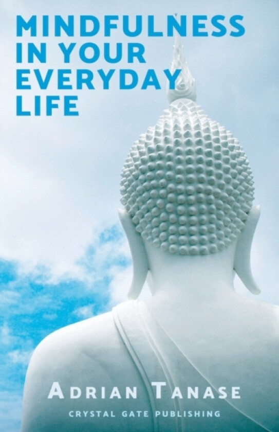 Mindfulness in Your Everyday Life av Adrian Tanase (Paperback)