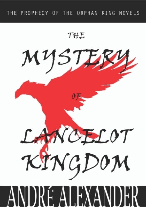 The Mystery of Lancelot Kingdom av Andre Alexander (Paperback)