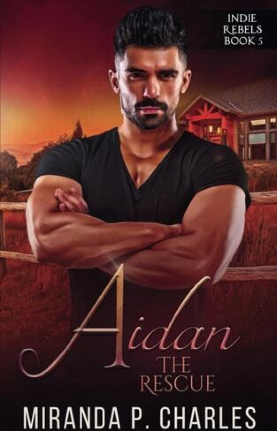 Aidan: The Rescue (Indie Rebels Book 5) av Miranda P. Charles (Paperback)