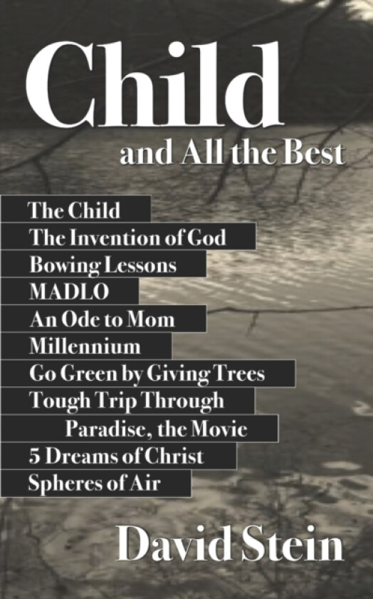 Child and All the Best av David Stein (Paperback)