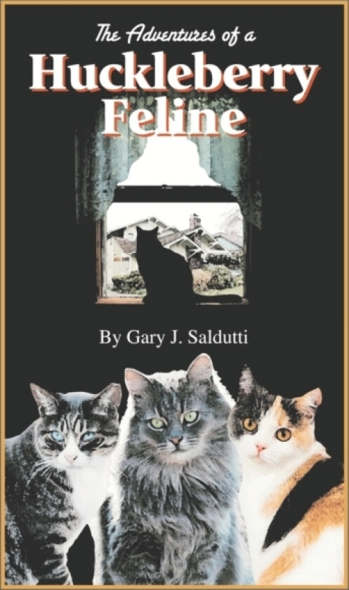 The Adventures of a Huckleberry Feline av Gary J Saldutti (Paperback)