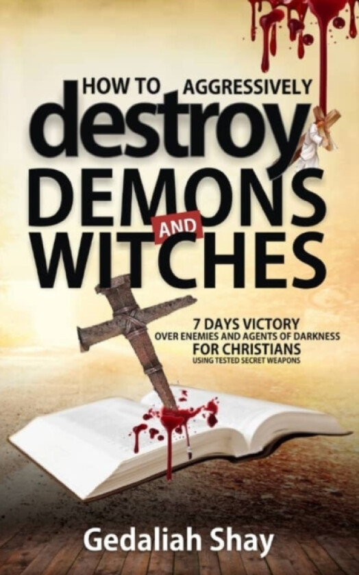How to Aggressively Destroy Demons and Witches av Gedaliah Shay (Paperback)