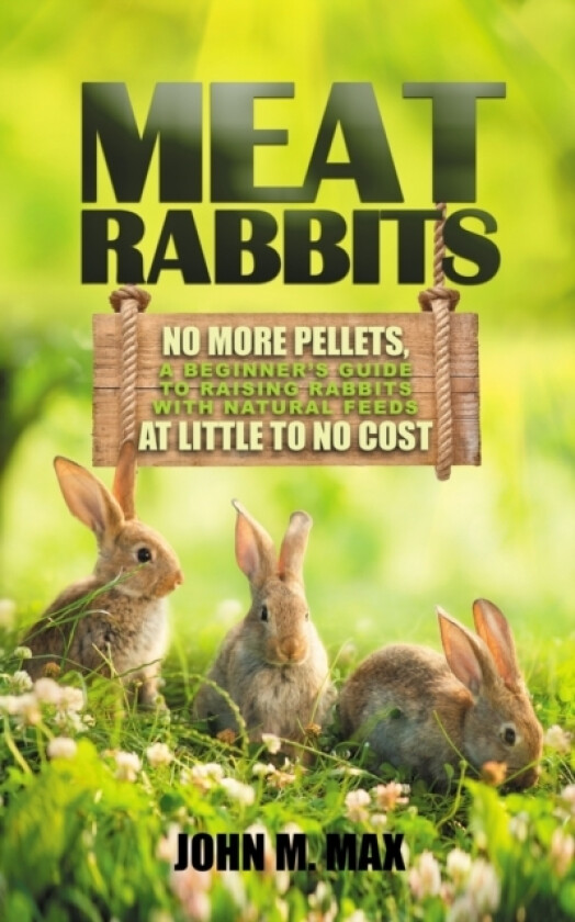 Meat Rabbits av John M Max (Paperback)