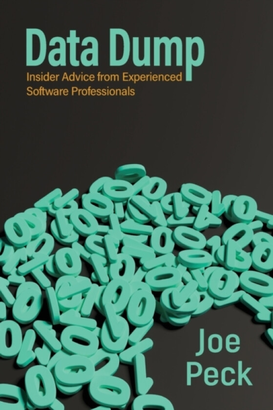 Data Dump av Joe Peck (Paperback)
