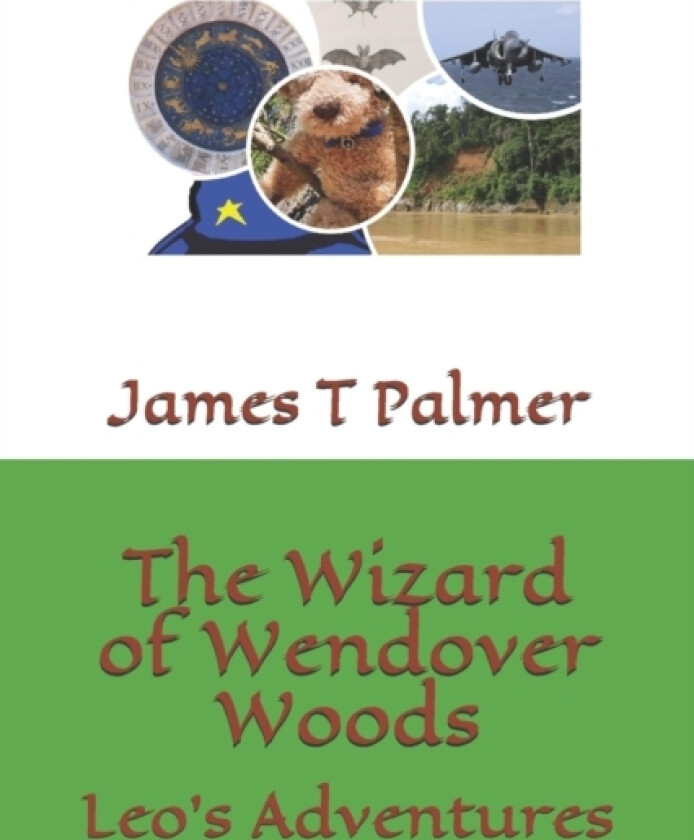 The Wizard of Wendover Woods av James Timthy Palmer (Paperback)