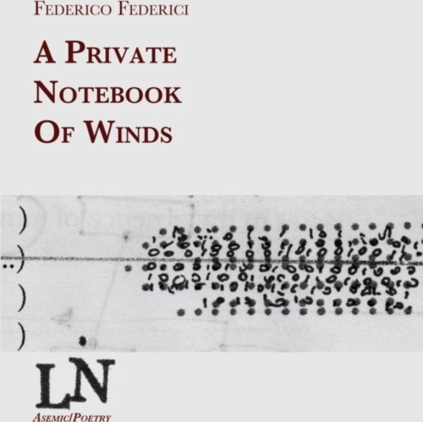 A private notebook of winds av Federico Federici (Paperback)