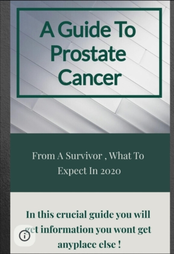 A Guide To Prostate Cancer av Rj Mauro (Paperback)