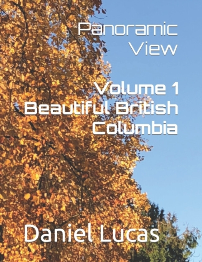 Panoramic View av Daniel Lucas (Paperback)