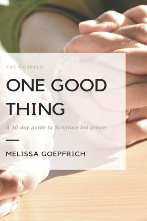 One Good Thing av Melissa Goepfrich (Paperback)