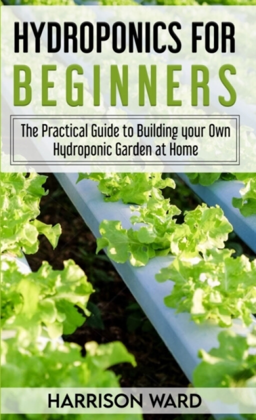 Hydroponics for Beginners av Harrison Ward (Paperback)