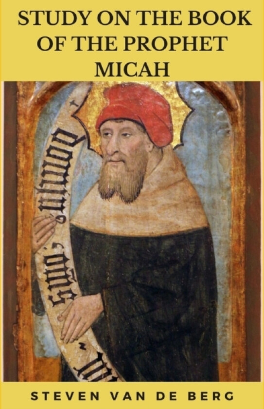 Study on the Book of the Prophet Micah av Steven Van de Berg (Paperback)