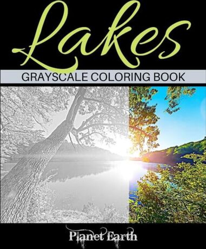 Lakes Grayscale Coloring Book av Planet Earth (Paperback)
