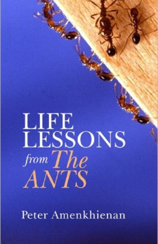 Life Lessons from the Ants av Peter Amenkhienan (Paperback)