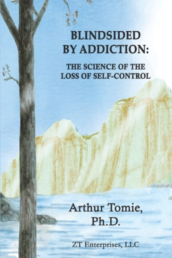 Blindsided by Addiction av Arthur Tomie (Paperback)