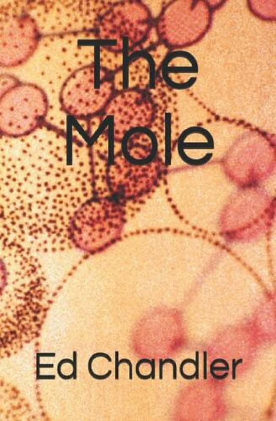 The Mole av Ed Chandler (Paperback)