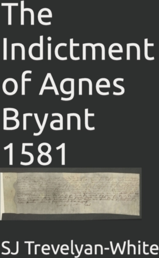 The Indicment of Agnes Bryant av Sj Trevelyan-White (Paperback)