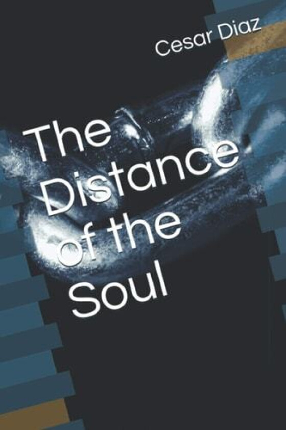 The Distance of the Soul av Diaz Cesar Diaz (Paperback)