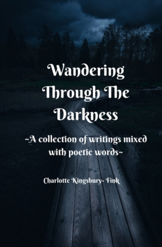 Wandering Through The Darkness av Charlotte Kingsbury-Fink (Paperback)