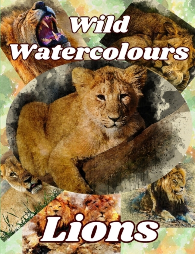 Lions av Steve Hay (Paperback)