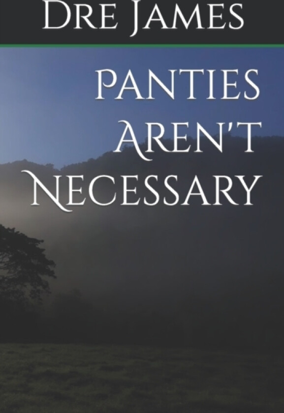 Panties Aren't Necessary av Dre James (Paperback)