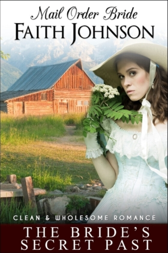 Mail Order Bride av Faith Johnson (Paperback)