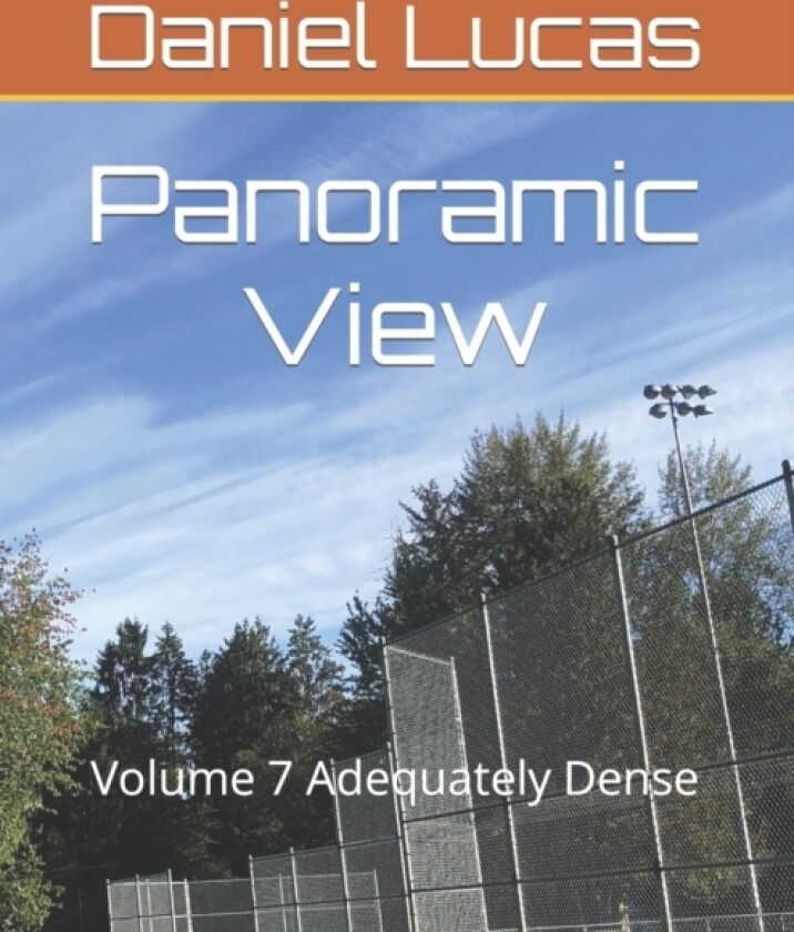 Panoramic View av Daniel Lucas (Paperback)
