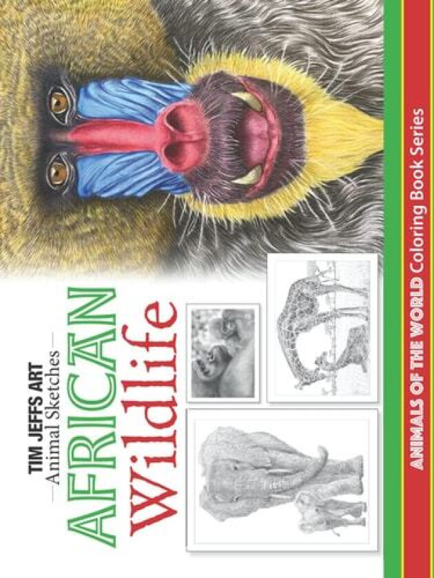 African Wildlife av Tim Jeffs (Paperback)