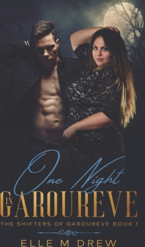 One Night in Garoureve (The Shifters of Garoureve Book 1) av Elle M Drew (Paperback)