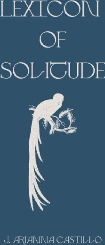 Lexicon of Solitude av Jennifer Arianna Castillo (Paperback)