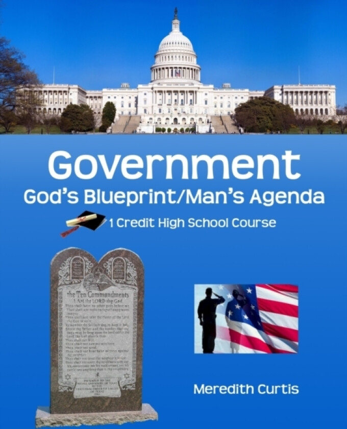 Government av Meredith Curtis (Paperback)