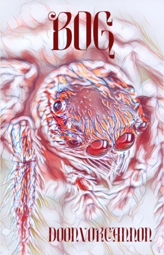 Bog av Doonvorcannon (Paperback)