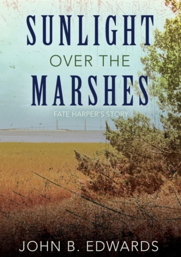 Sunlight Over the Marshes av John B Edwards (Paperback)
